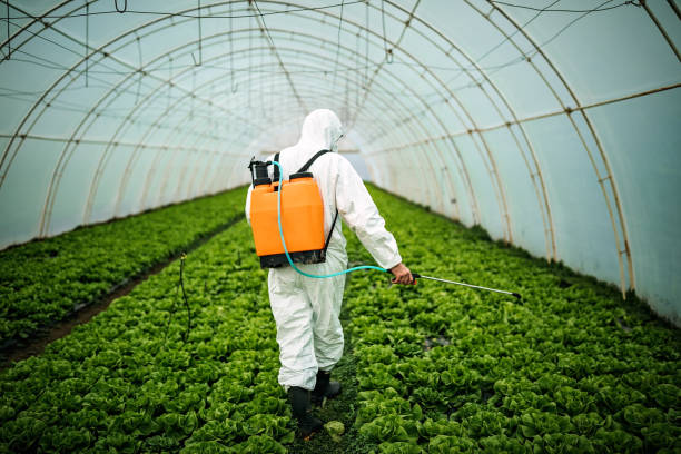 Best Ant Control Services  in Freeland, PA