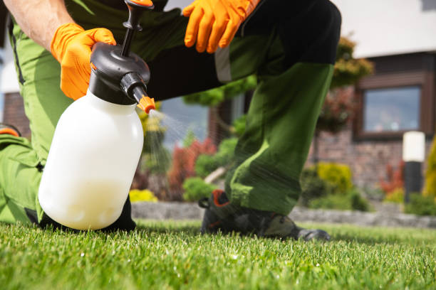 Best Pest Control Treatment  in Freeland, PA